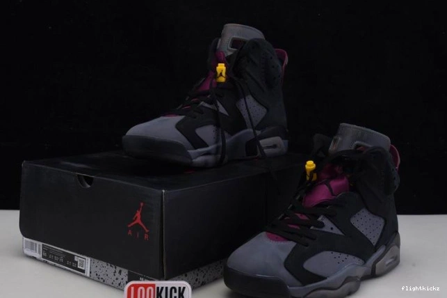Jordan 6 